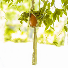Load image into Gallery viewer, What’s Hangin’? Macrame Plant Holder