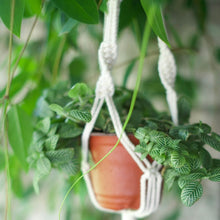 Load image into Gallery viewer, Macrame Plant Holder and Decorative Tray Bundle