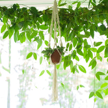 Load image into Gallery viewer, Macrame Plant Holder and Decorative Tray Bundle