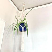 Load image into Gallery viewer, Macrame Plant Holder and Decorative Tray Bundle