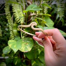 Load image into Gallery viewer, Munting Maya T’boli Brass Bangle
