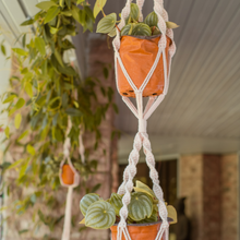 Load image into Gallery viewer, What’s Hangin’? The Sequel Macrame Plant Holder
